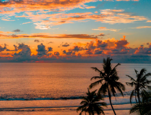 Explore the wild & wonderful USA national parks with experts