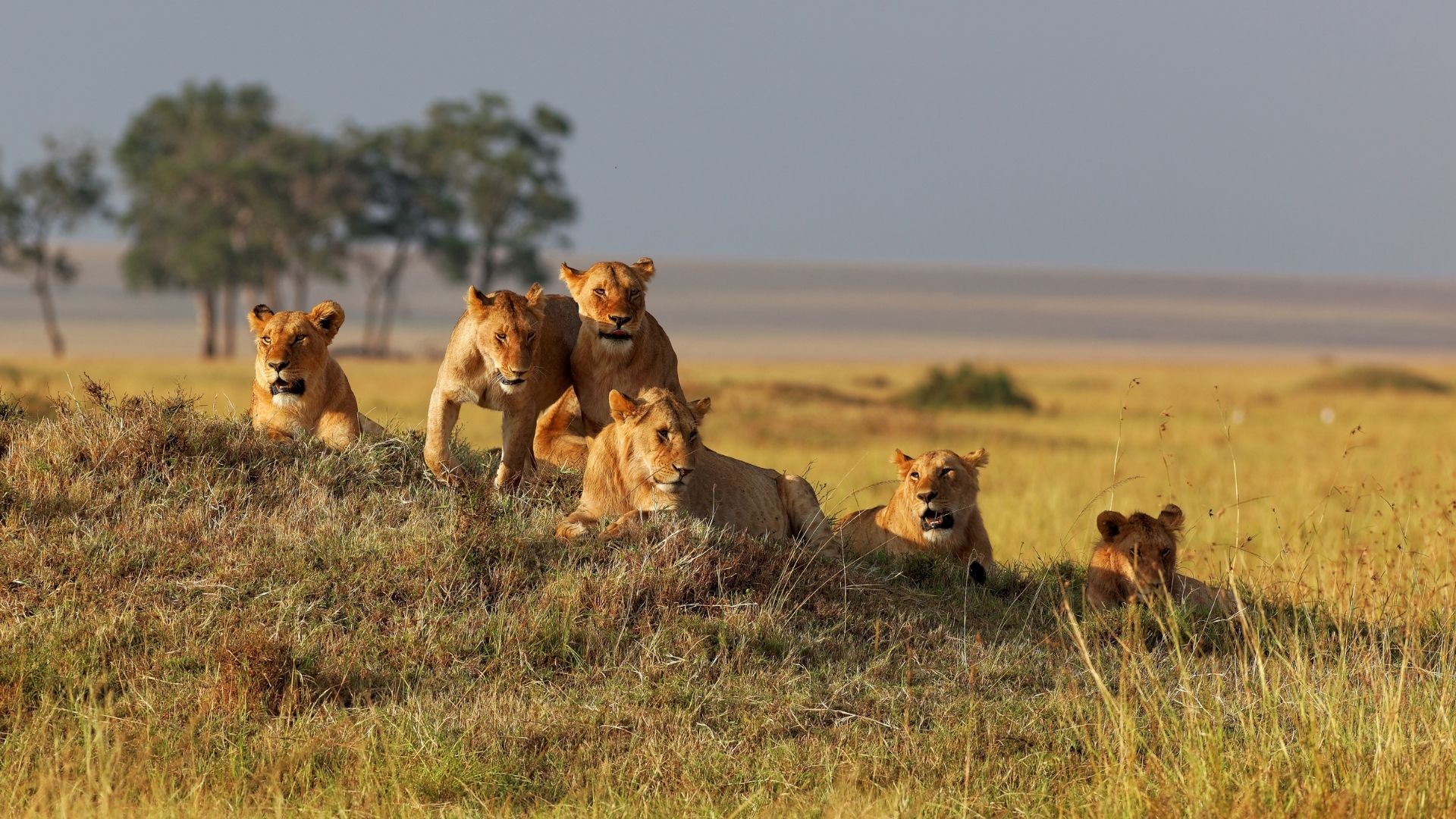 viaggio in kenya