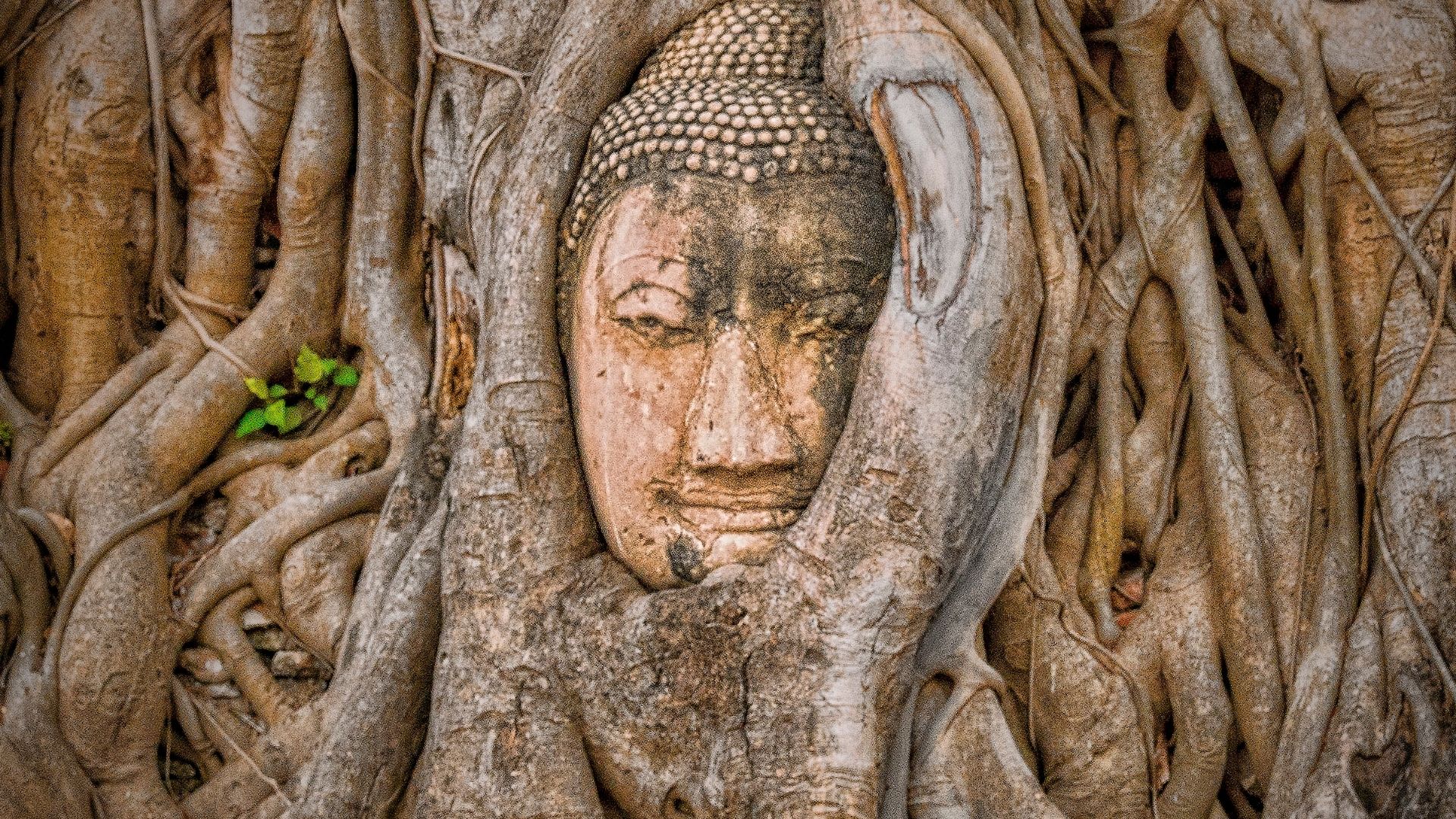 viaggio in thailandia