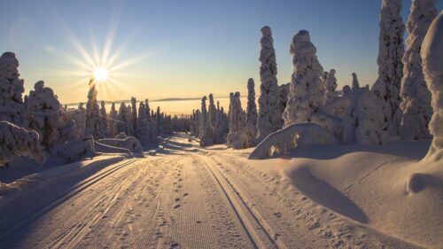 viaggio in lapponia finlandese