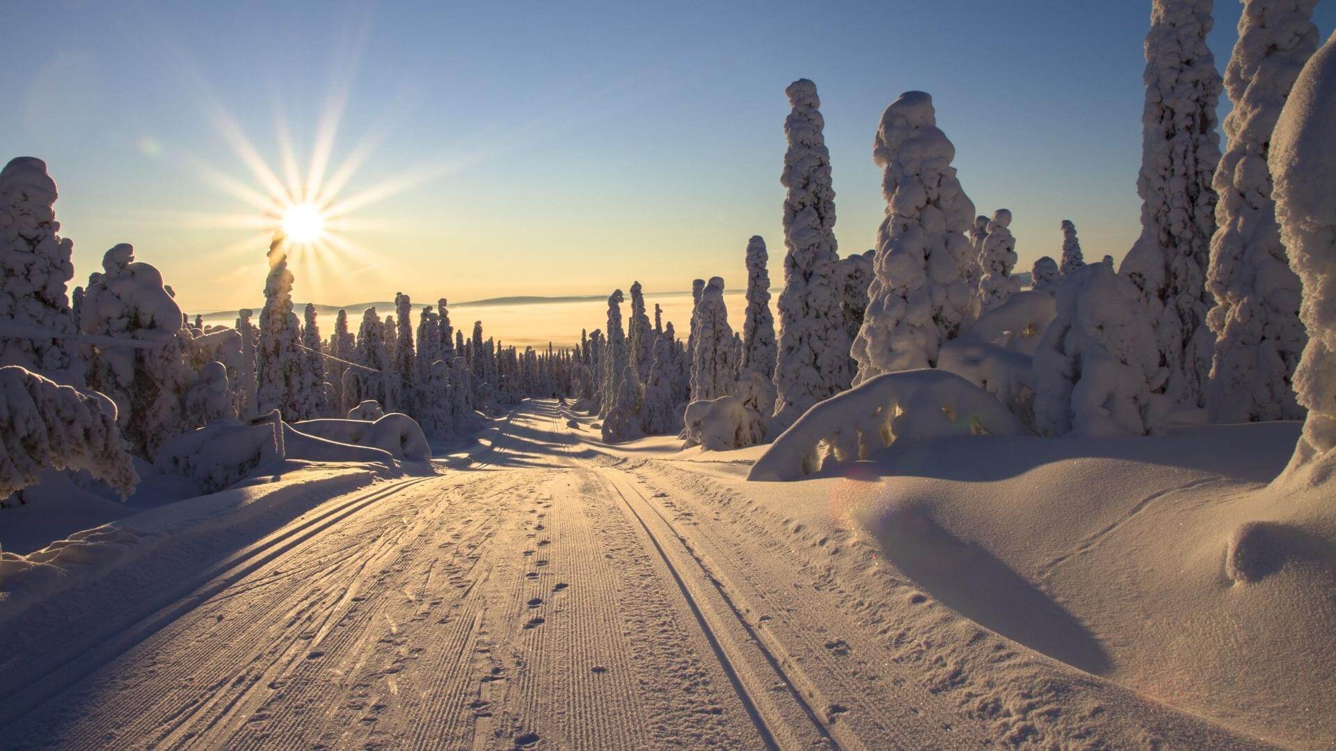 viaggio in lapponia finlandese