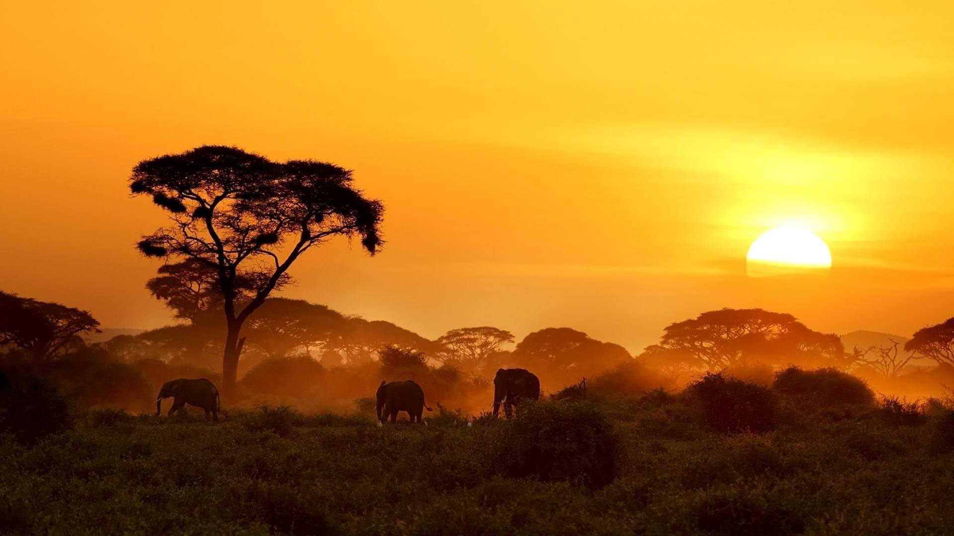 viaggio in kenya