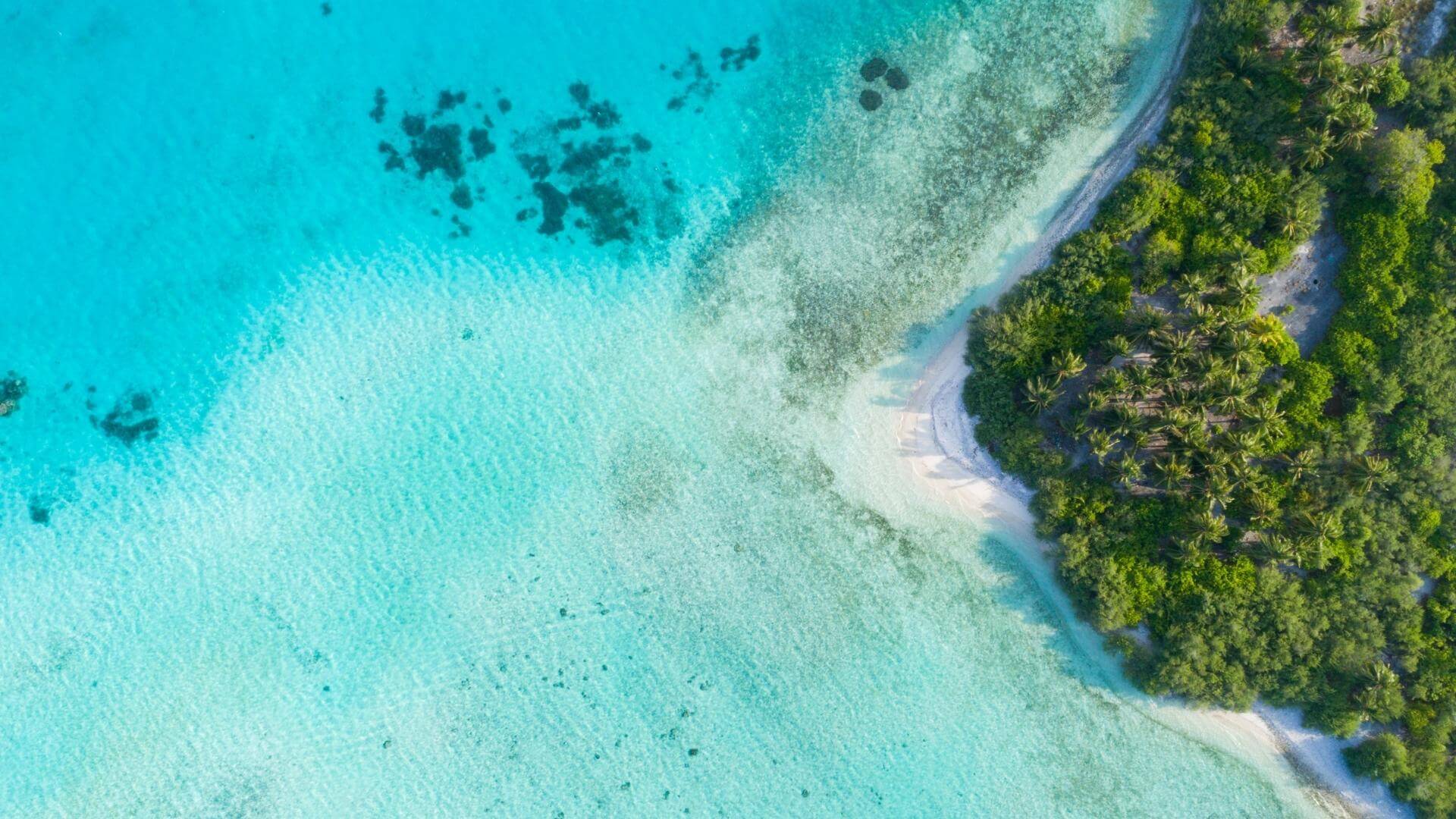 Maldive
