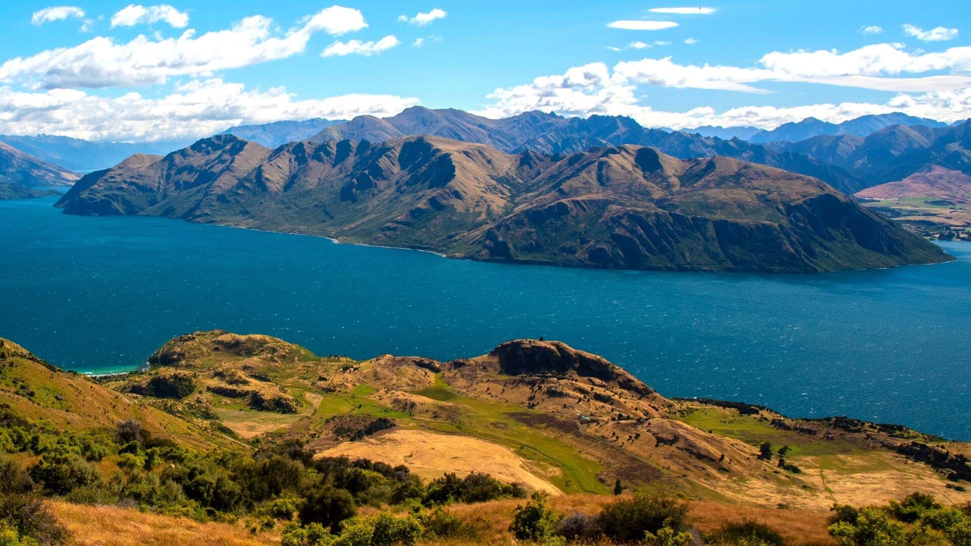 Nuova Zelanda