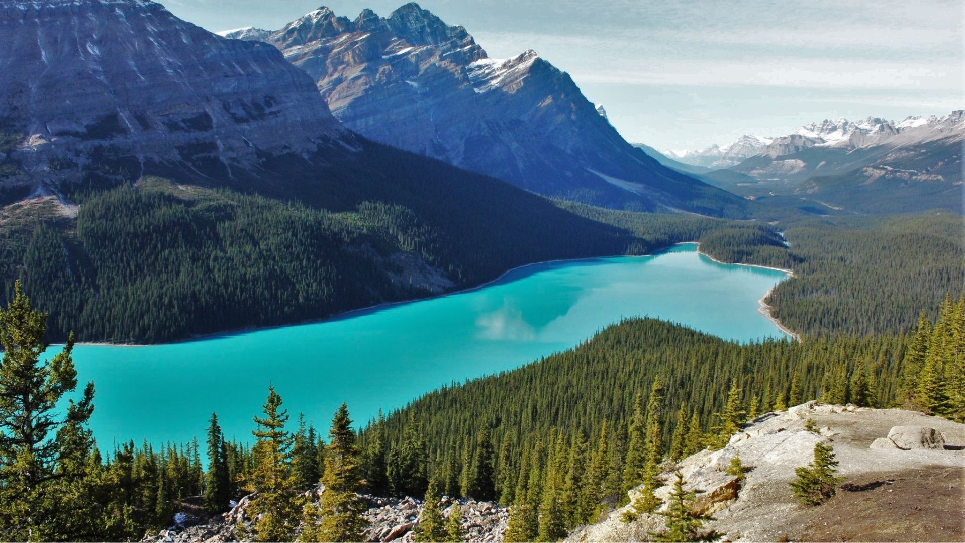 Lago Peyto
