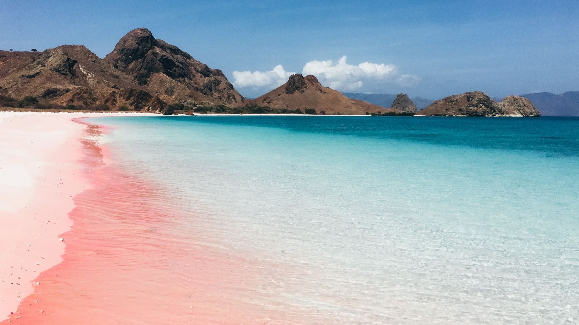 Spiaggia rosa Komodo
