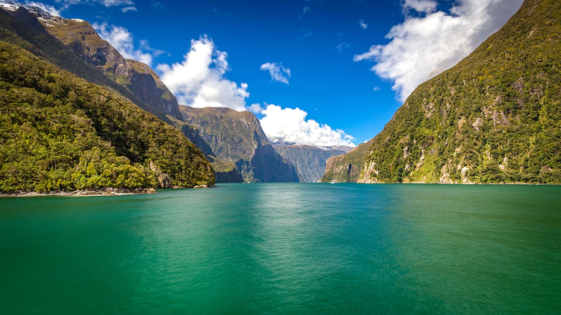 Viaggio in Nuova Zelanda
