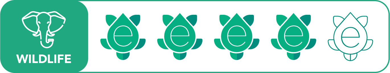Wildlife Eleph Out 4