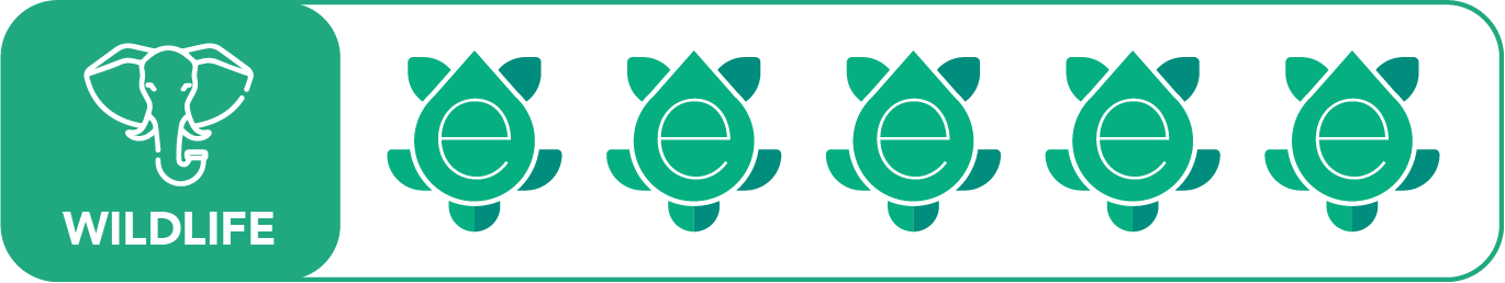 Wildlife Eleph Out 5