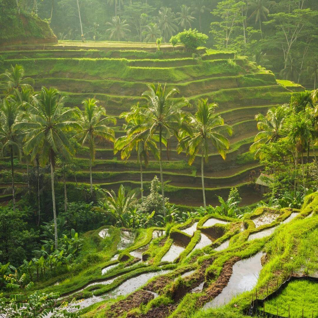 Indonesia