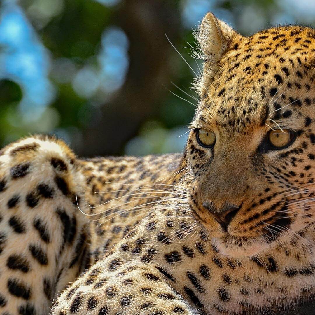 Namibia