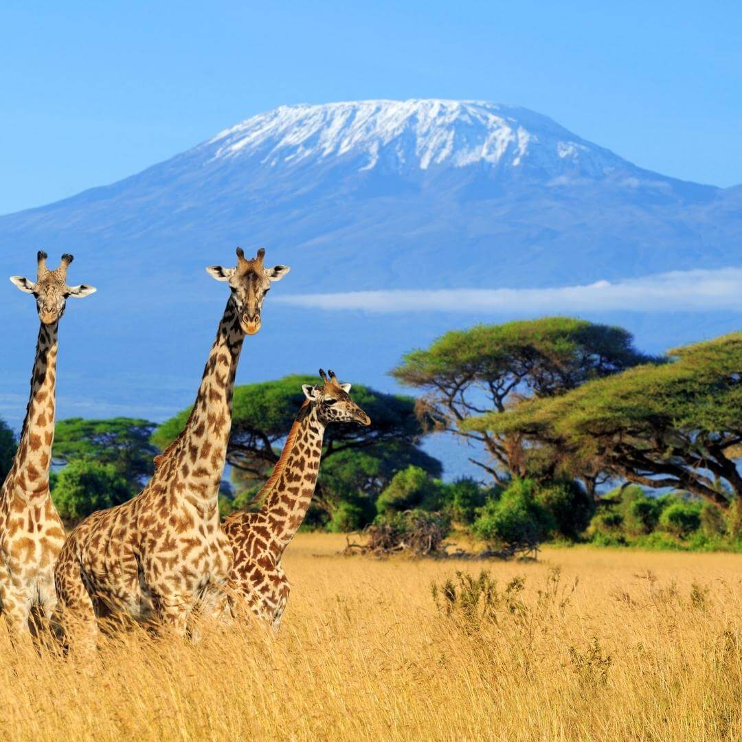 Tanzania
