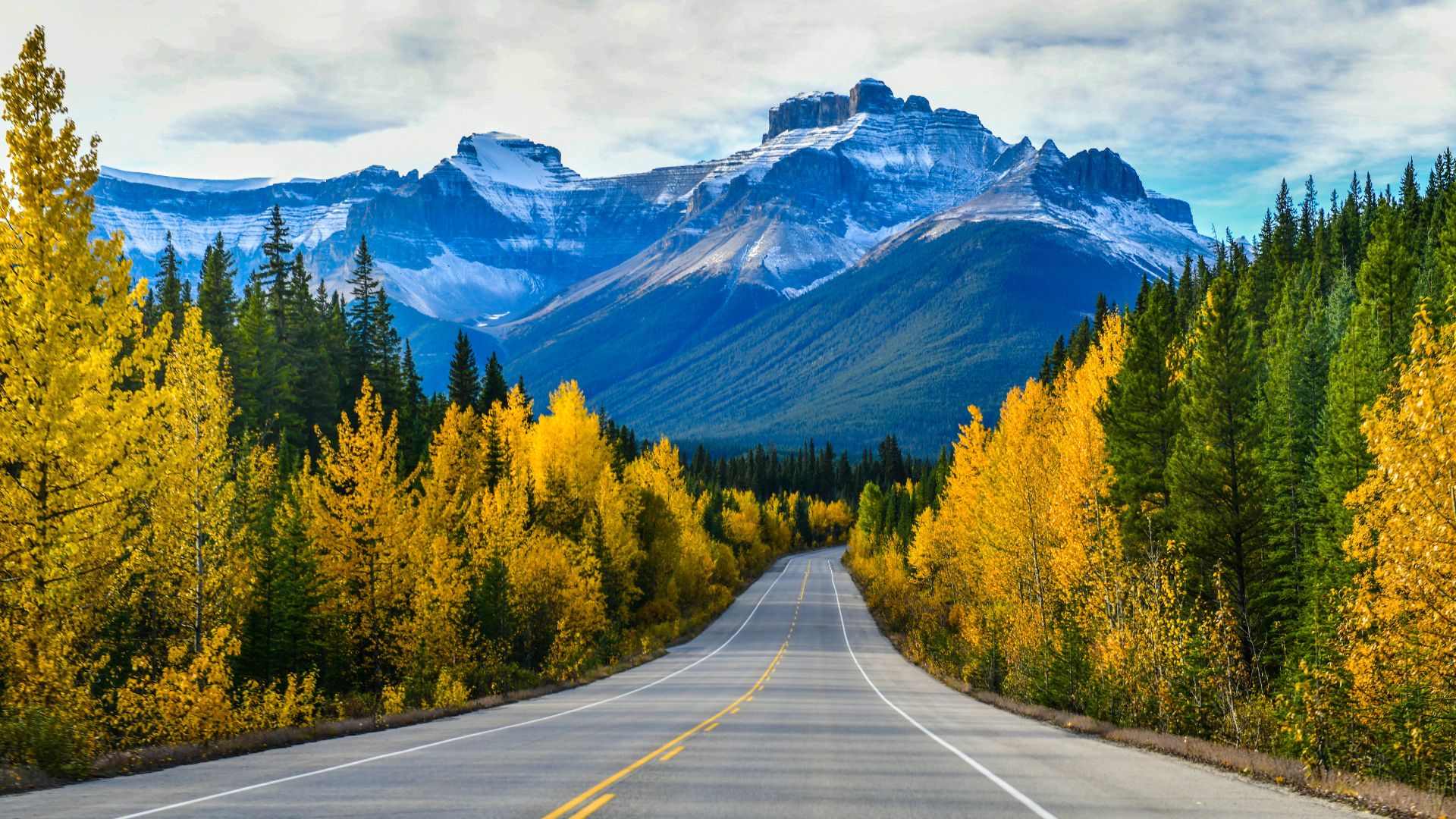 canada foliage nel mondo