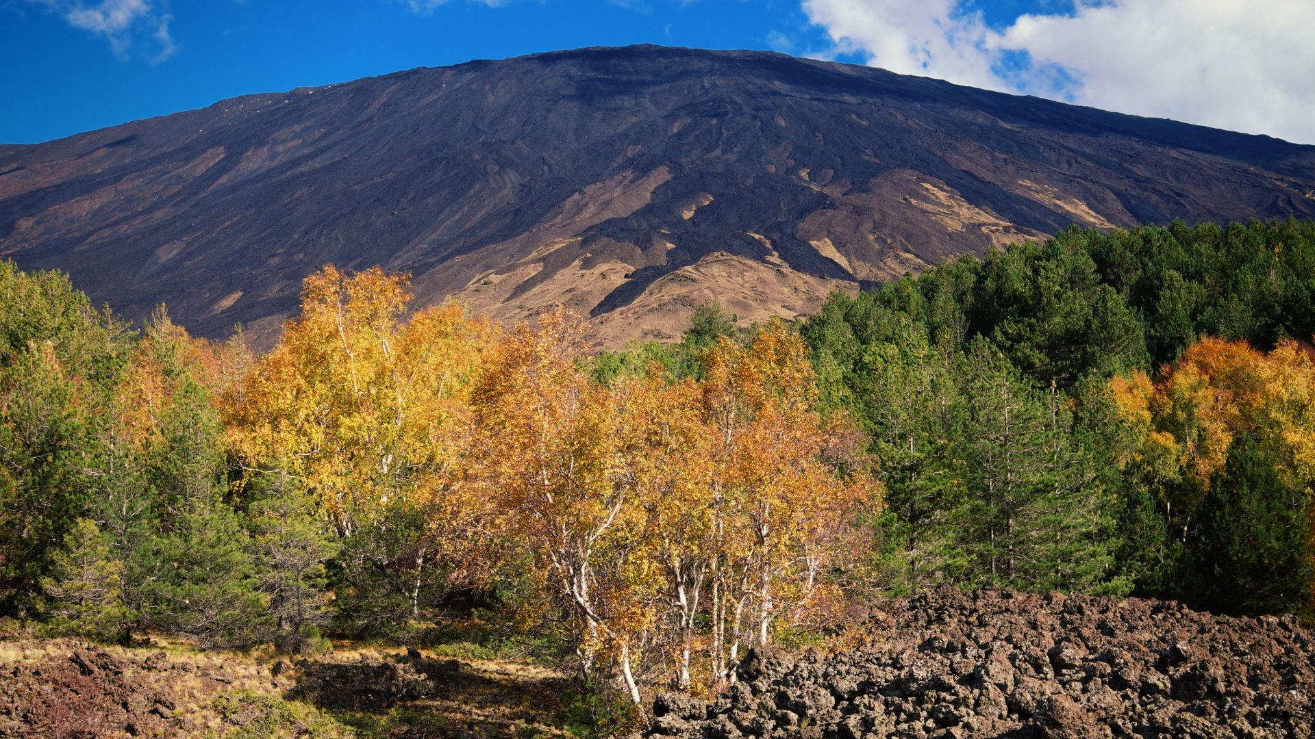 etna foliage sicilia