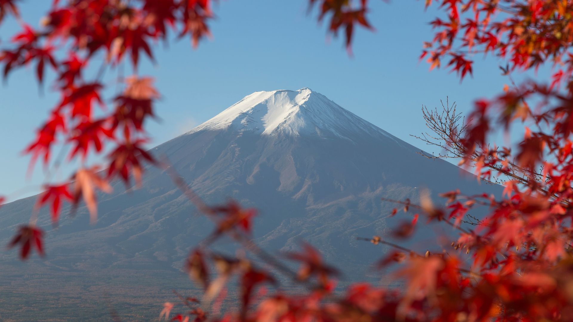giappone foliage nel mondo