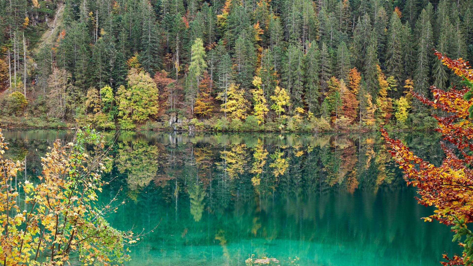 tovel foliage italia