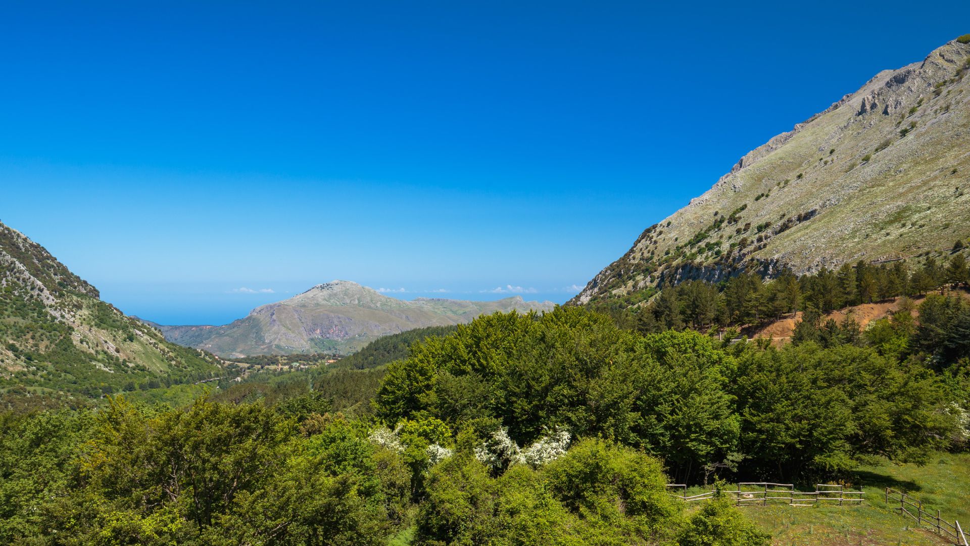 madonie
