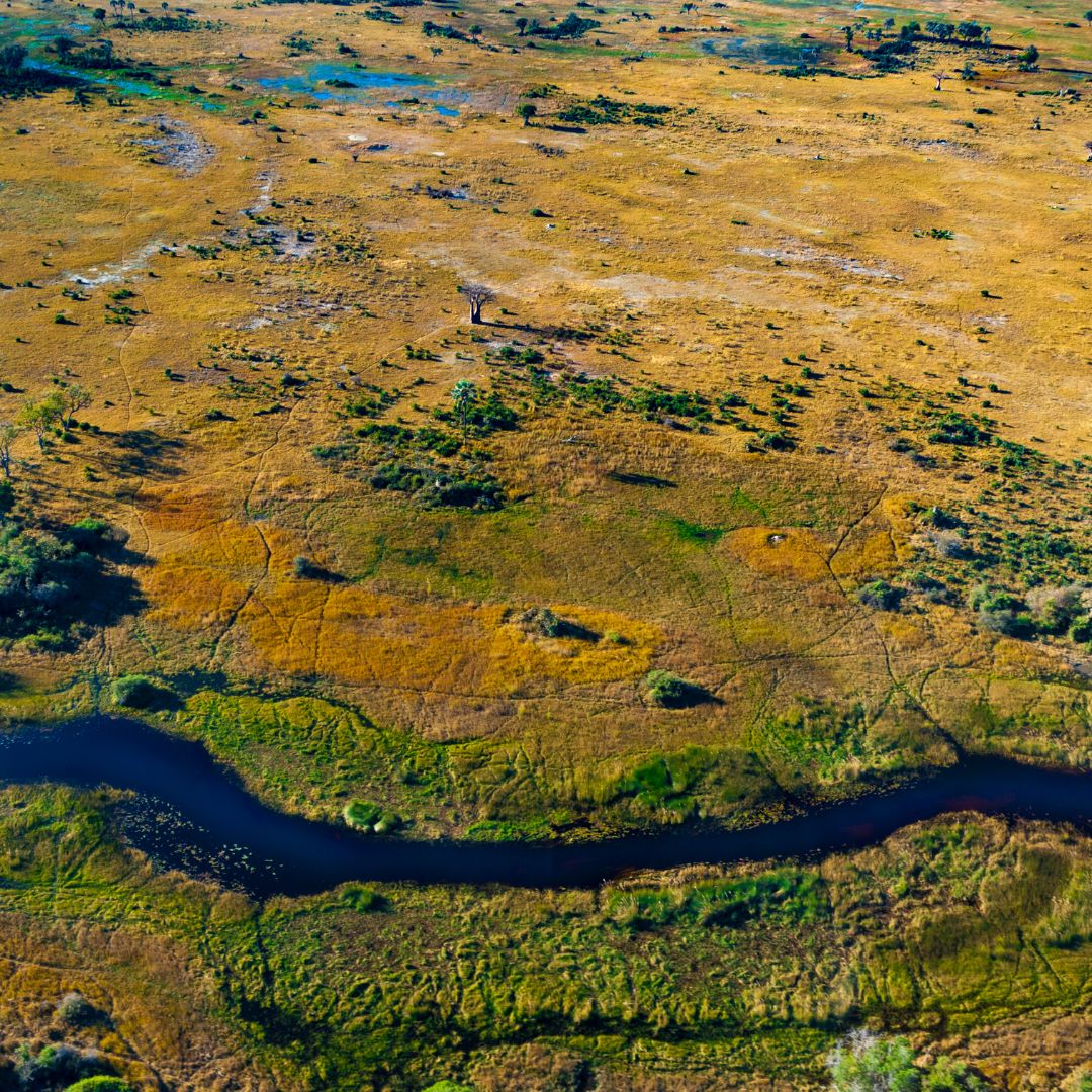 viaggio in botswana