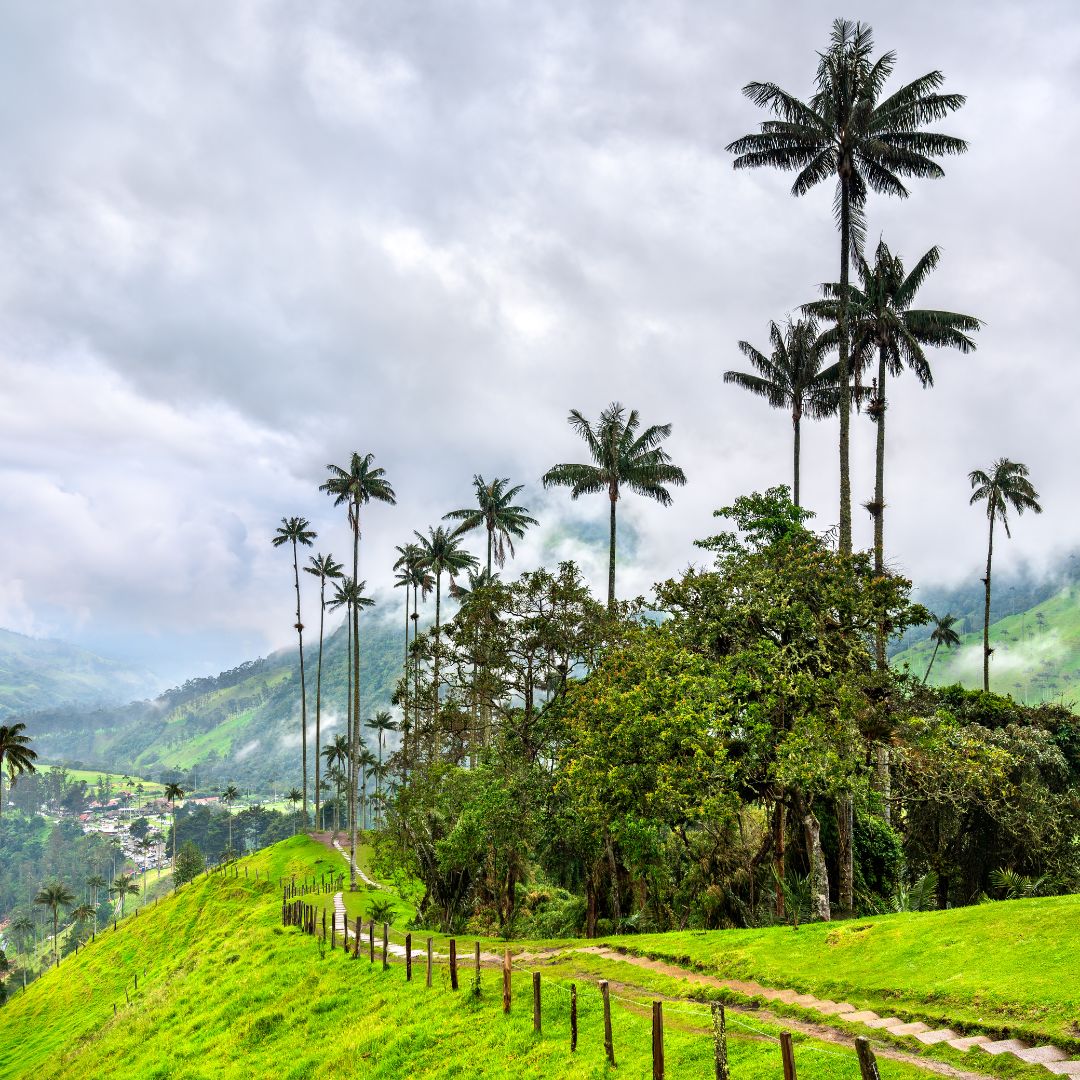 viaggio in colombia