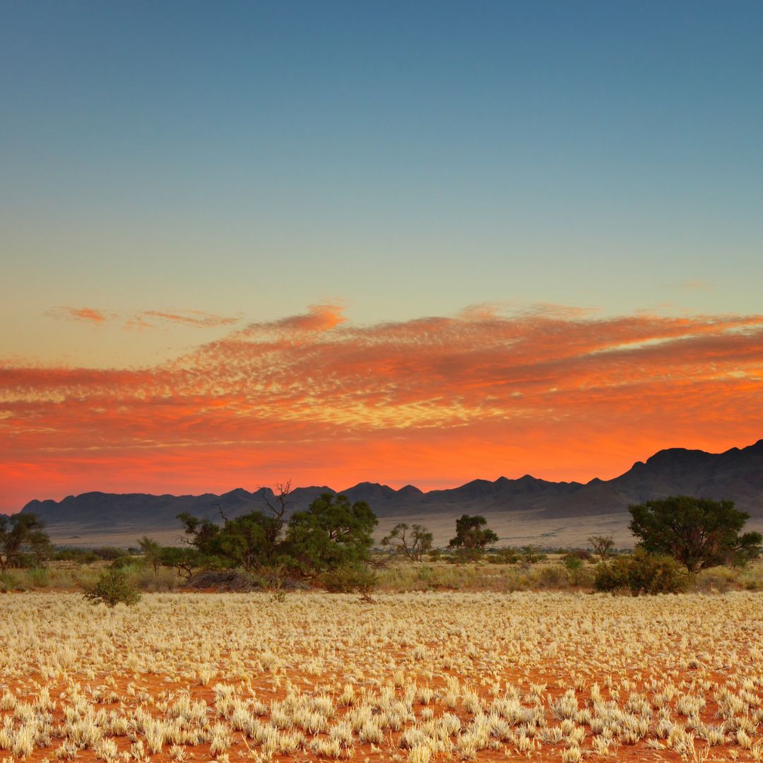 viaggio in botswana