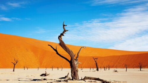 viaggio in namibia
