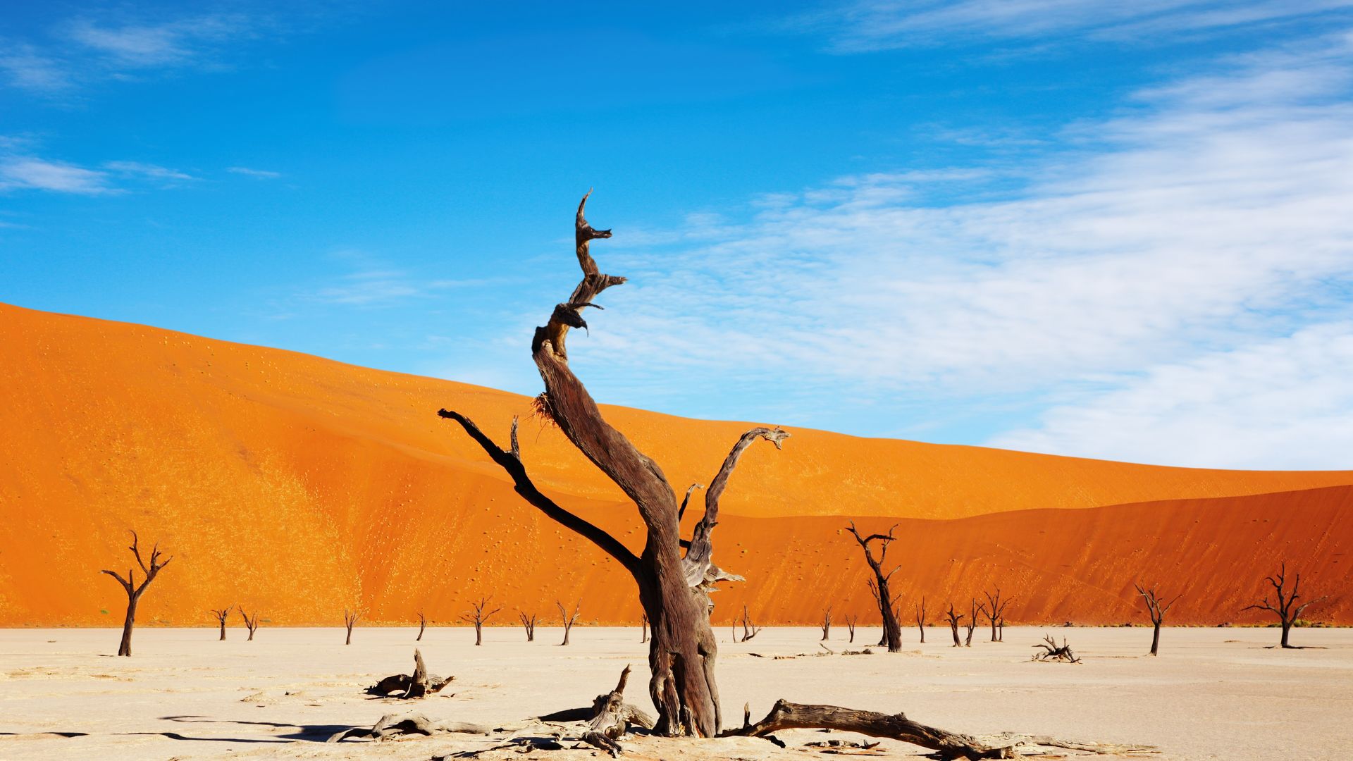 viaggio in namibia viaggio in namibia