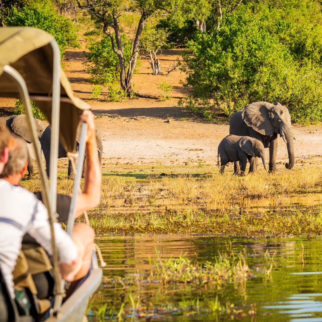 viaggio in botswana viaggio in botswana