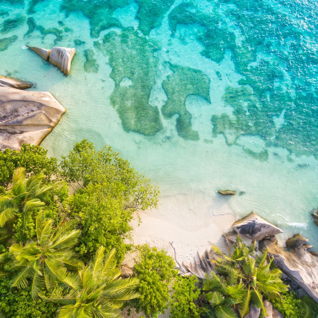 viaggio alle seychelles viaggio alle seychelles