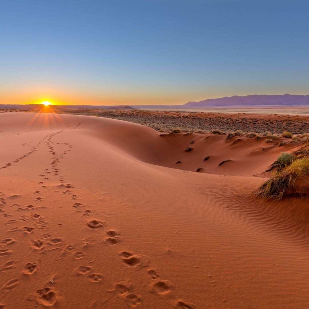viaggio in botswana