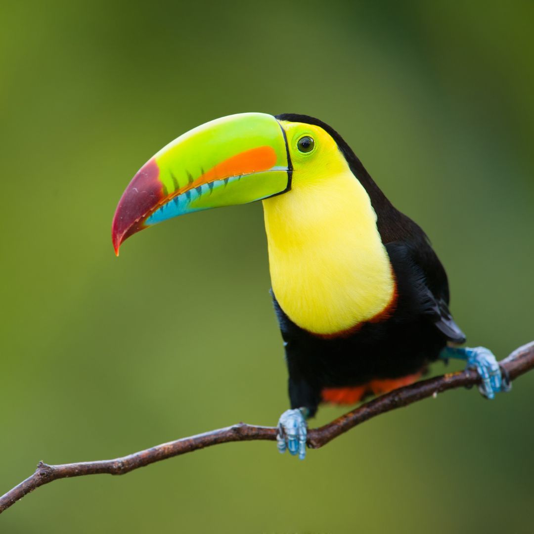 viaggio in colombia