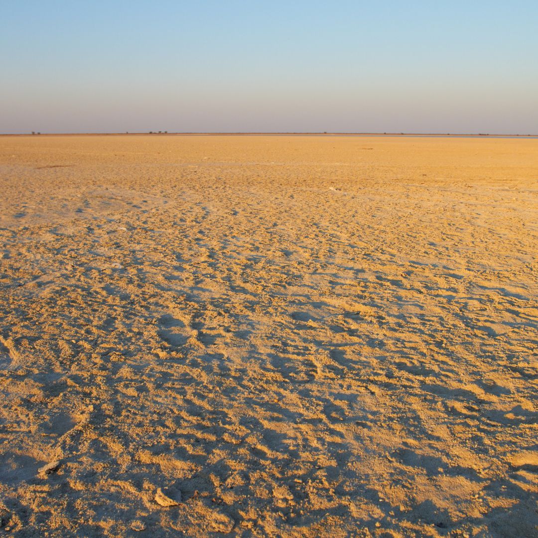 viaggio in botswana viaggio in botswana