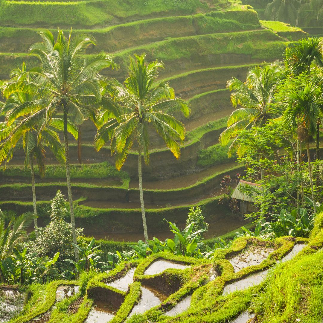 viaggio in indonesia