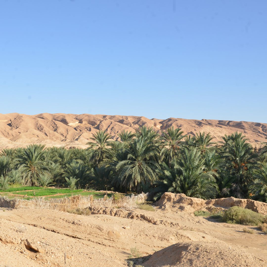 viaggio in tunisia