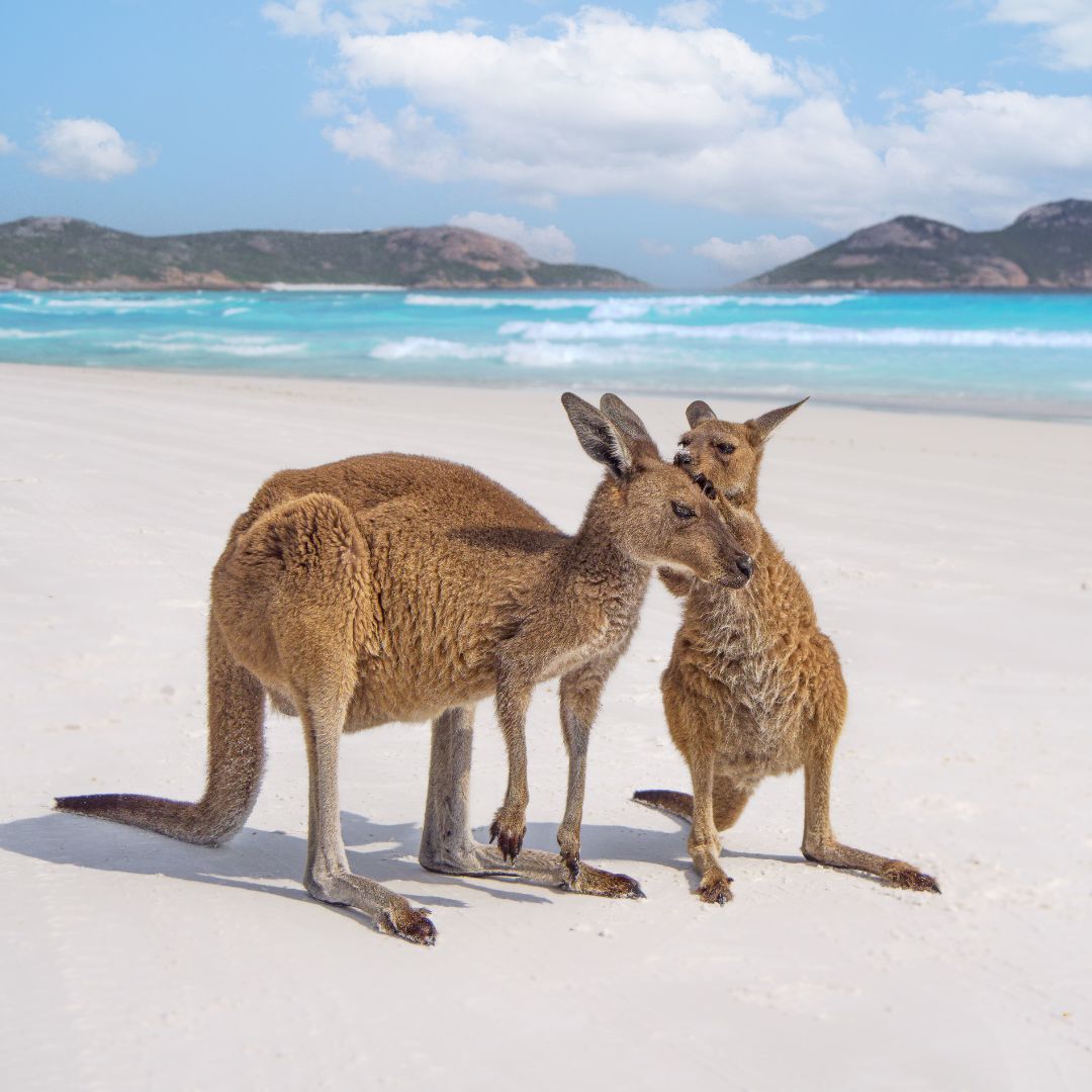 viaggio in australia