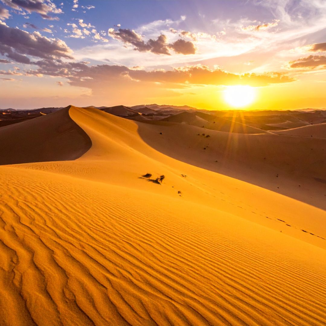 viaggio in tunisia