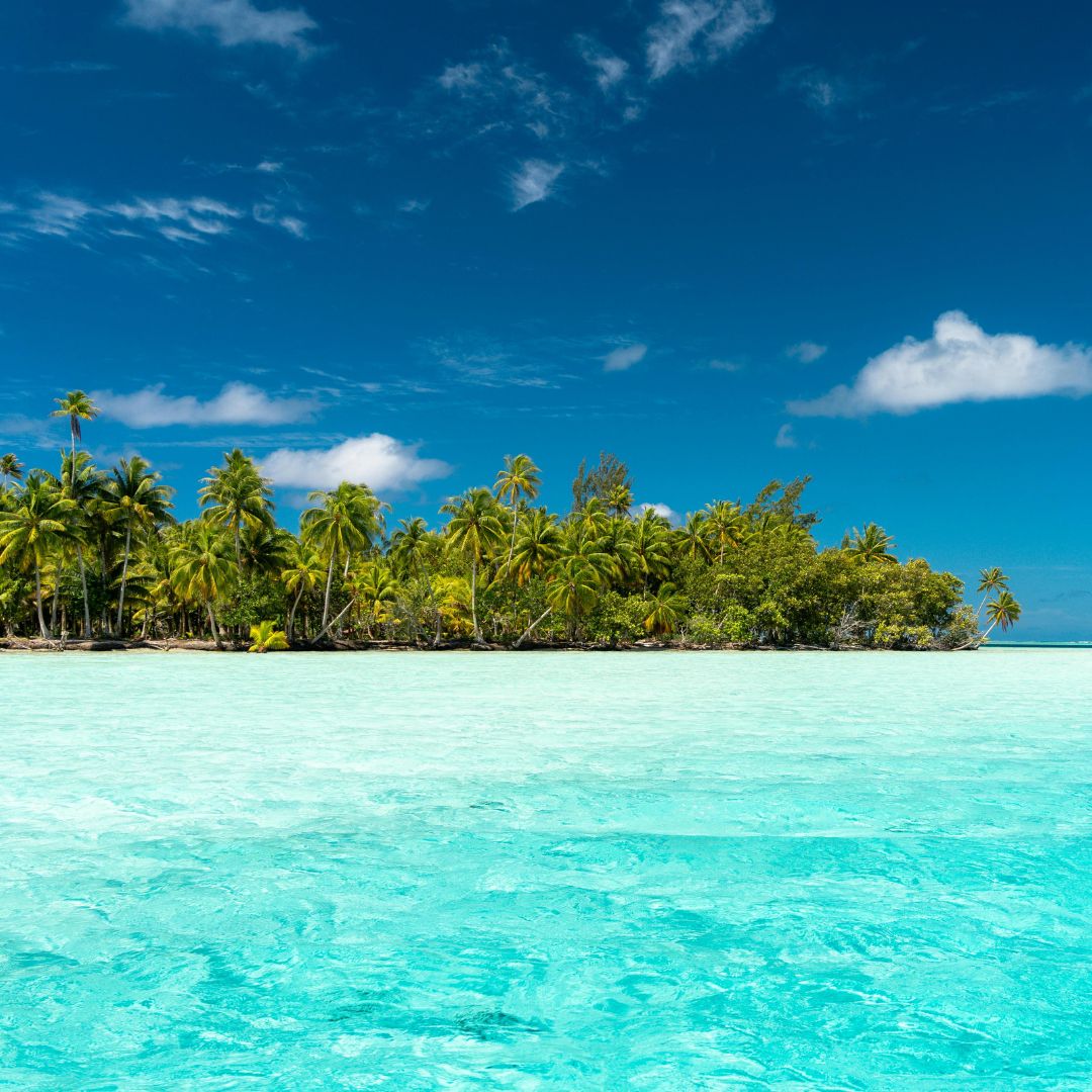TAHAA