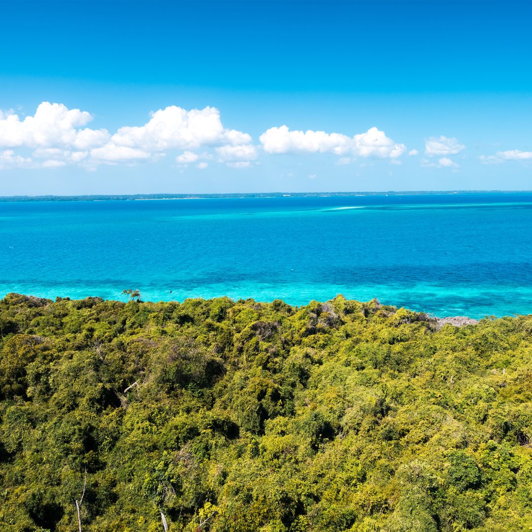 chumbe viaggio a zanzibar e chumbe island