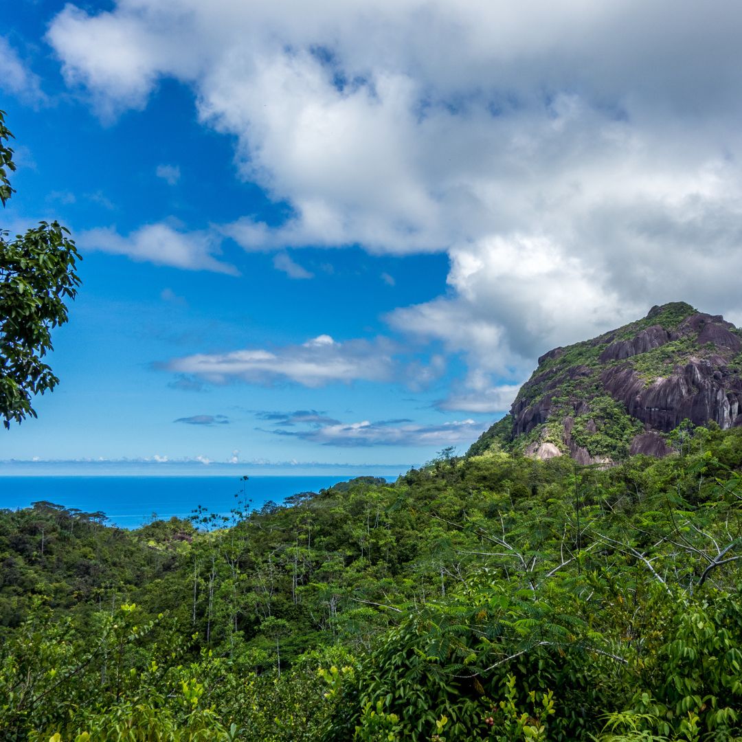 viaggio alle seychelles viaggio alle seychelles