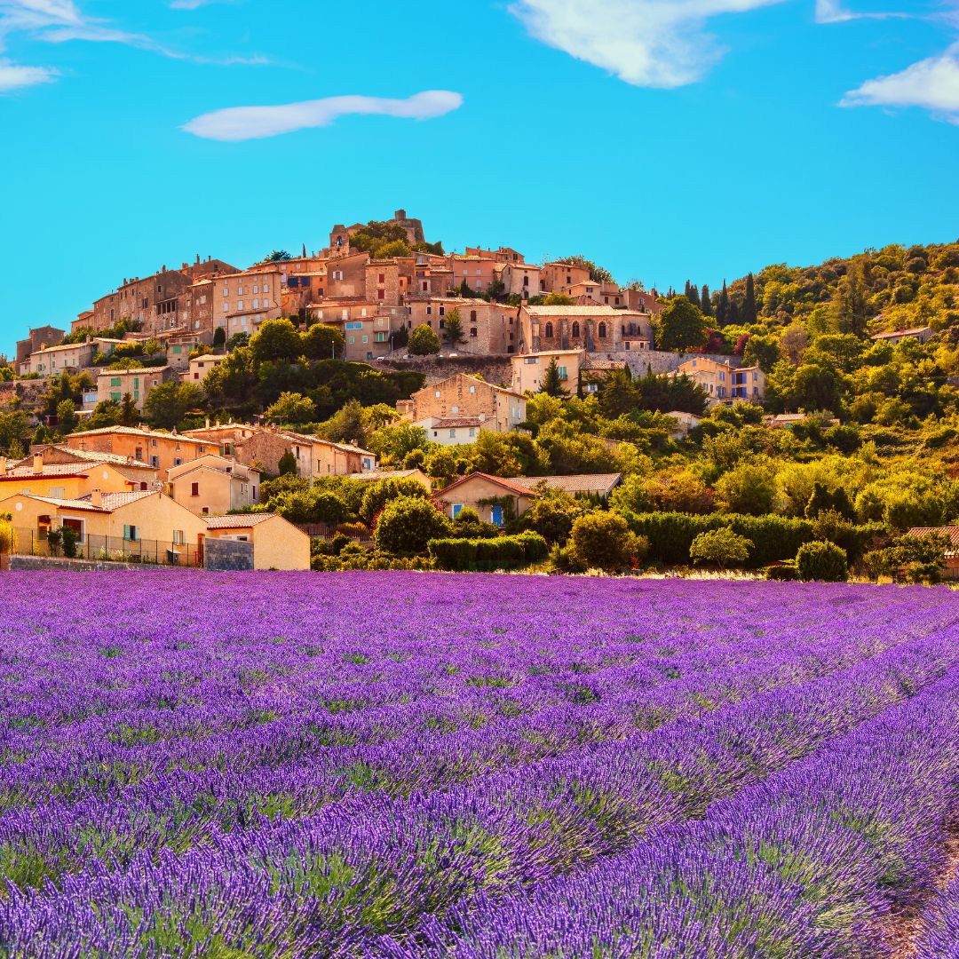 1 viaggio in provenza