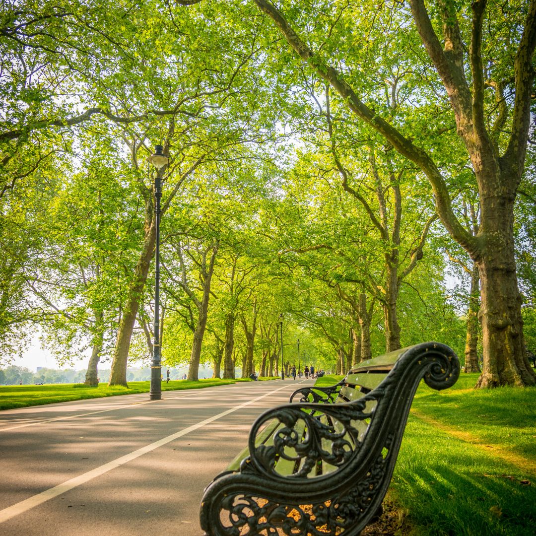 1 viaggio a londra
