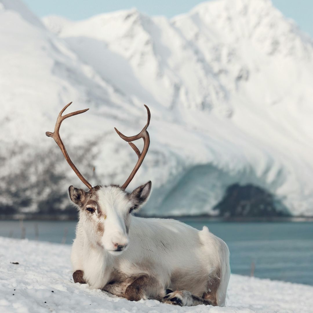 viaggio in norvegia nord