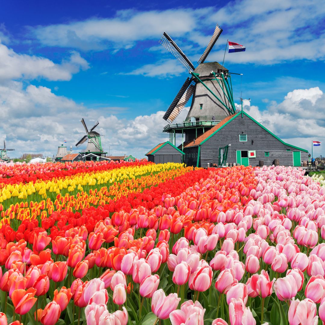 3 viaggio ad amsterdam