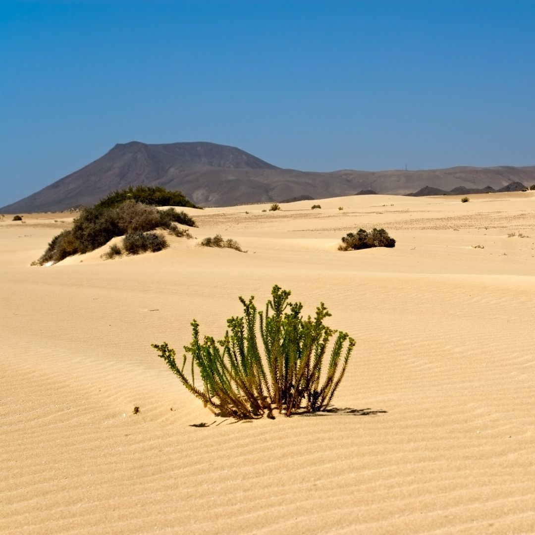 3 viaggio a fuerteventura