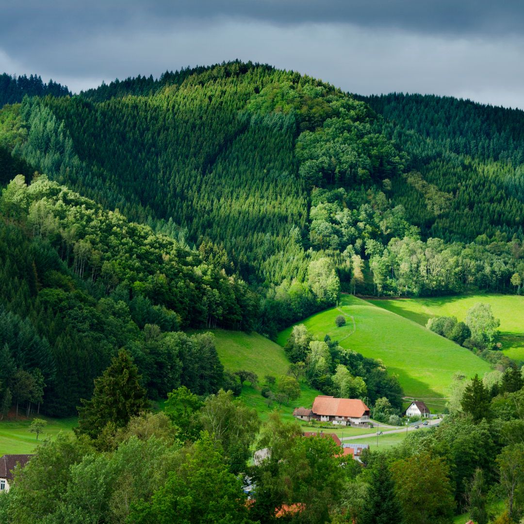 4 viaggio in baviera e foresta nera
