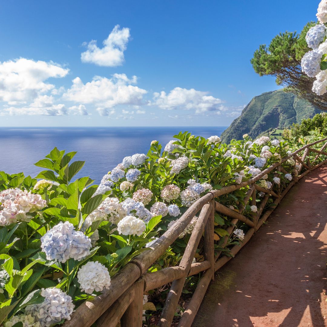viaggio a sao miguel azzorre