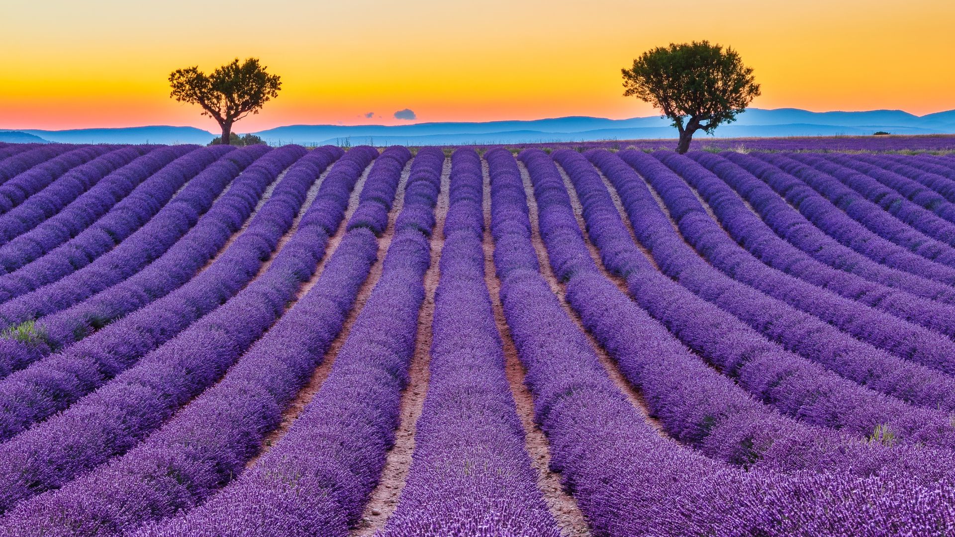 viaggio in provenza